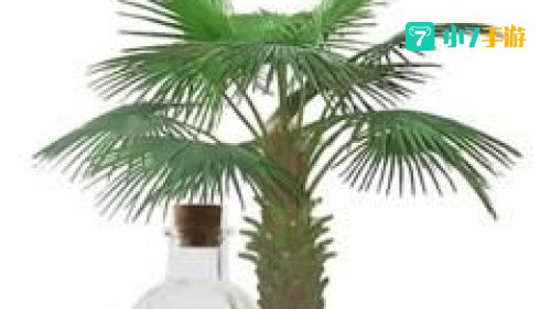 棕榈油产自